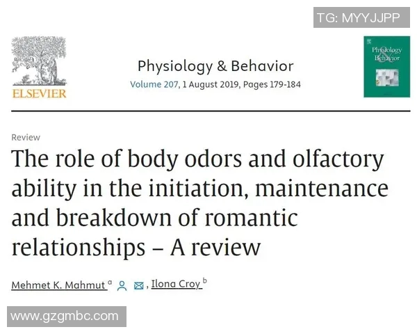 探索奥蓬达的魅力与历史揭示其在现代文化中的独特地位与影响力