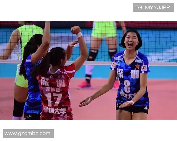 辽宁女排对阵八一女排精彩直播全程回顾与赛后分析