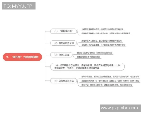 防卫者与艾度思维的较量：探讨两种思维方式的异同与启示