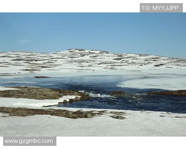 芬兰与瑞典的冰雪对决谁将赢得北欧之战的荣耀