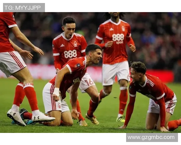 西布朗对阵热刺比赛前瞻及胜负预测分析