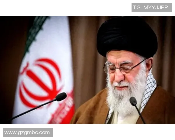 赖斯在国际舞台上的崛起与影响力分析及其对全球事务的深远影响