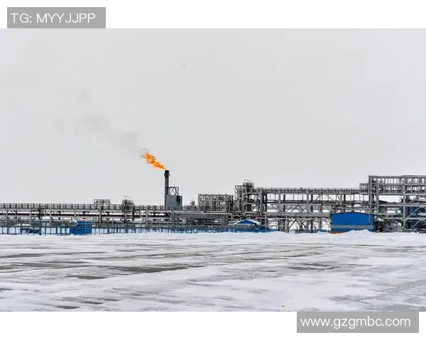 亚马尔地区的能源战略与全球气候变化的应对之道