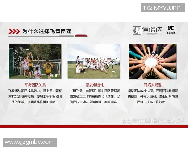 飞盘热潮下的北京飞盘队运营模式与发展策略分析MBA