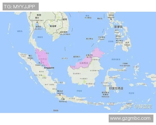 马来西亚对阵新加坡精彩直播全程回顾与赛后分析