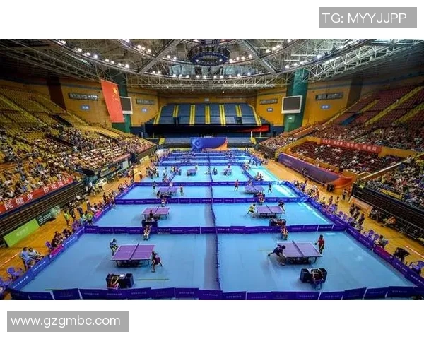 杭州乒乓球队与西安乒乓球队实力对比赛后分析与总结